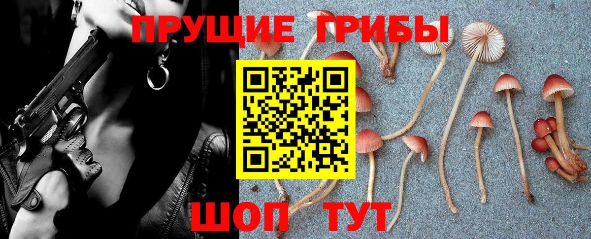 Галлюциногенные грибы GOLDEN TEACHER Ханты-Мансийск