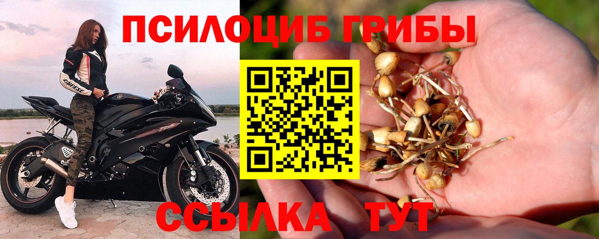 Ханты-Мансийск  Галлюциногенные грибы Cubensis  закладки  Вход с VPN 